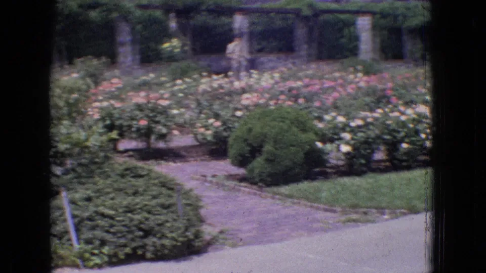 1965 New Jersey 8mm frame with a curving brick garden path, flowering rose beds, clipped greenery, lawn, and stone supports covered with vines.