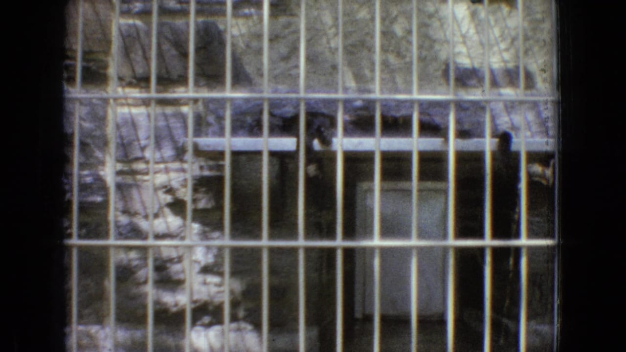 A leopard is seen through closely spaced metal bars inside a New Jersey zoo enclosure in supplied 1965 8mm home-movie footage.