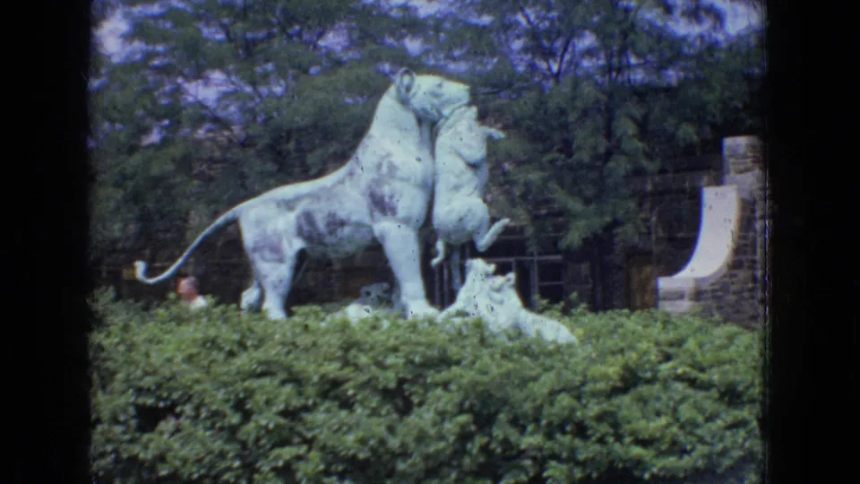 A white statue of a lioness with cubs stands among green shrubs and trees in the zoo setting, with a small distant visitor figure partly visible near the base.