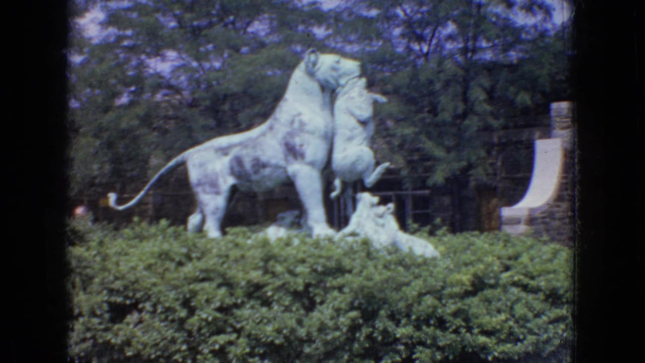 1965 New Jersey 8mm frame showing a weathered pale lion statue with two cubs behind a manicured hedge, with trees and a curved masonry feature in the background.