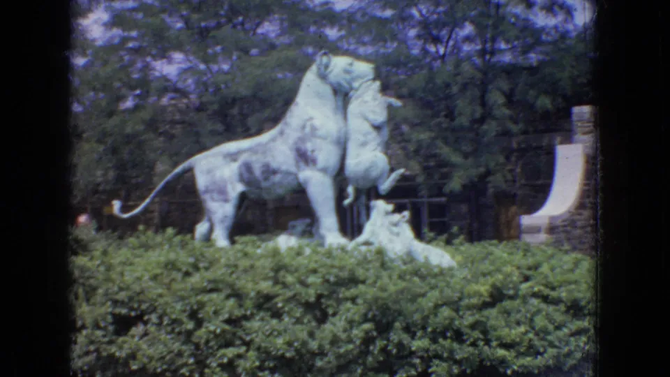 1965 New Jersey 8mm frame showing a weathered pale lion statue with two cubs behind a manicured hedge, with trees and a curved masonry feature in the background.