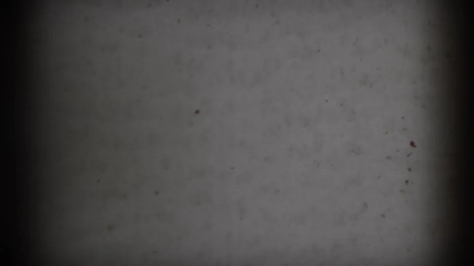 1966 Athens, Ohio 8mm frame showing a blank, softly focused television-like surface with a central dark vertical band, edge falloff, and small dust marks.