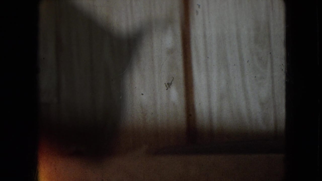 Dim wood-paneled wall area with a dark horizontal shadow near the lower frame.