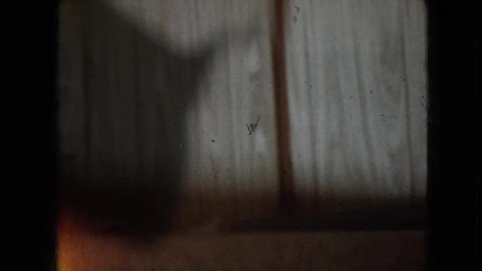 Dim 8mm frame from the Athens, Ohio clip showing vertical wood paneling, soft shadow, and dark film edges with faded color.