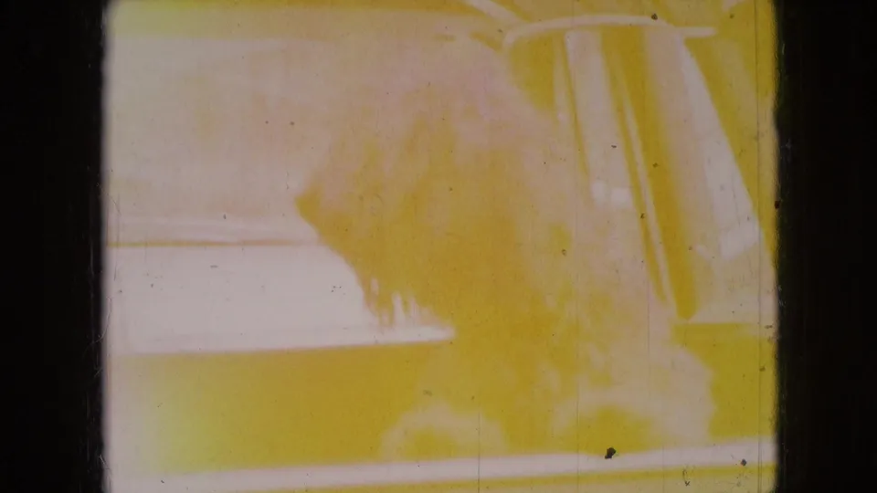 Yellow-shifted 8mm frame from a 1966 Athens, Ohio home movie, apparently showing the shaggy dog and car interior through heavy exposure and film fade.