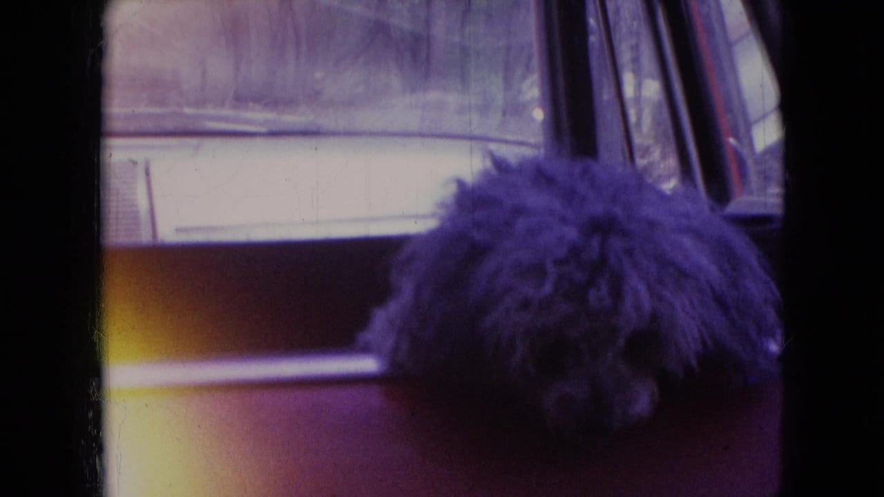 A small fluffy gray dog sits low inside a red car in this 1966 Athens, Ohio 8mm home-movie frame, with the car window and dark film border visible.