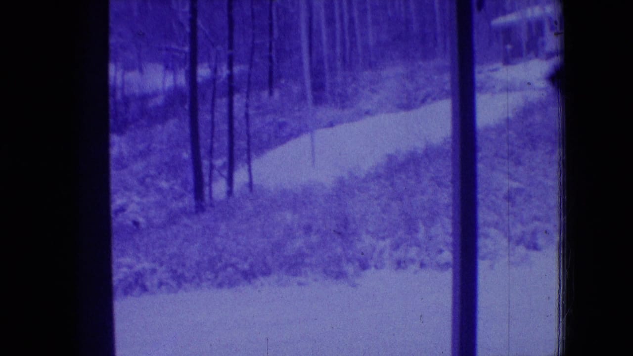 1966 Athens, Ohio 8mm frame showing a purple-tinted wooded view through dark car-window borders, with bare trees, undergrowth, and a pale winding path.