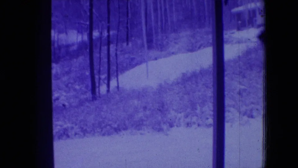 1966 Athens, Ohio 8mm frame showing a purple-tinted wooded view through dark car-window borders, with bare trees, undergrowth, and a pale winding path.