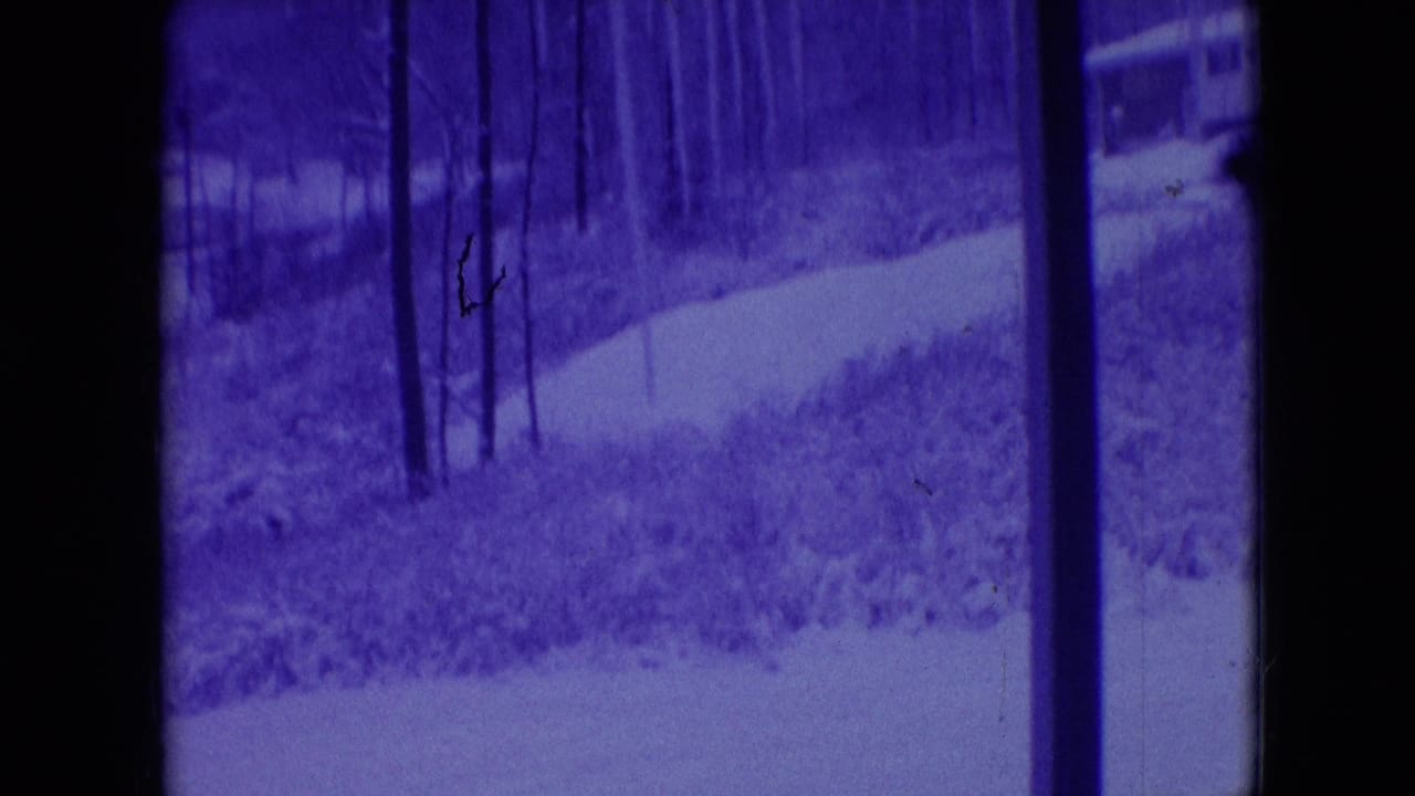 Purple forest view framed by a dark vehicle pillar and window edges.