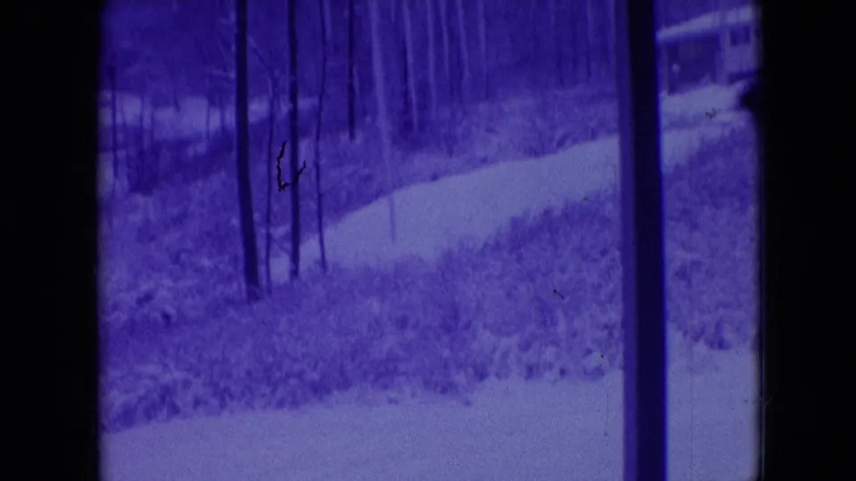 1966 Athens, Ohio 8mm frame with a dark vehicle pillar dividing a purple-tinted view of bare trees, brush, and a pale curving path.