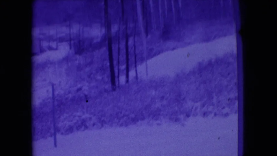 1966 Athens, Ohio 8mm frame showing a blurred passenger-window view of bare trees, low brush, and a pale roadside or path area under a strong purple tint.