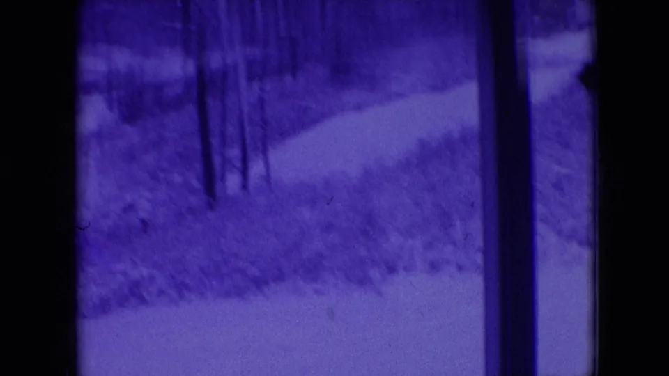 1966 Athens, Ohio 8mm frame with dark vehicle-window borders around a purple-tinted forest, bare trunks, dense undergrowth, and a pale curving path or road edge.