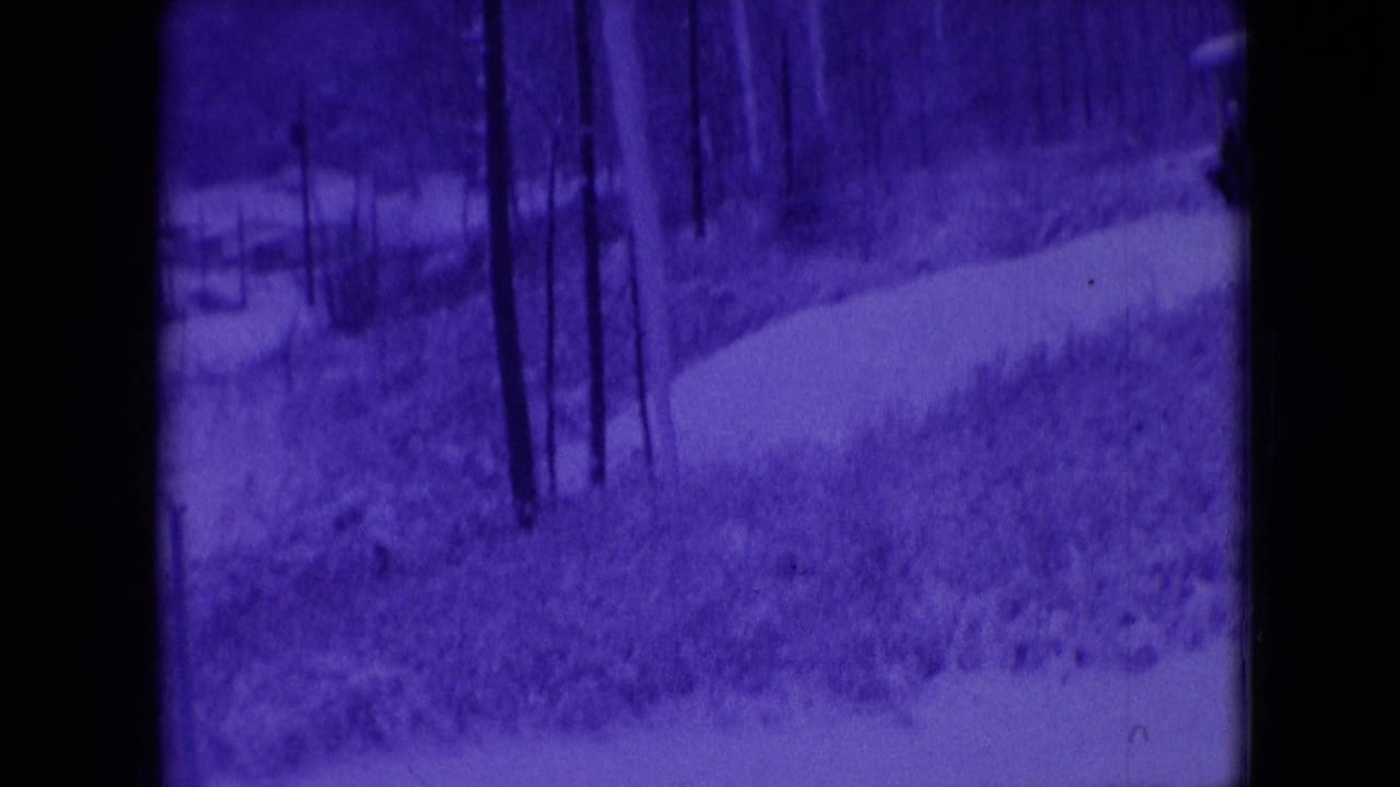 Snowy curved path beside bare trees and brush in a blue-tinted winter scene.