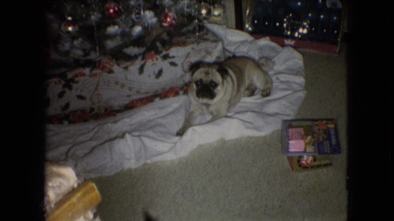 A small pug-like dog lies on a white blanket or tree skirt beside a decorated Christmas tree with wrapped gifts in a 1966 Athens, Ohio home interior.