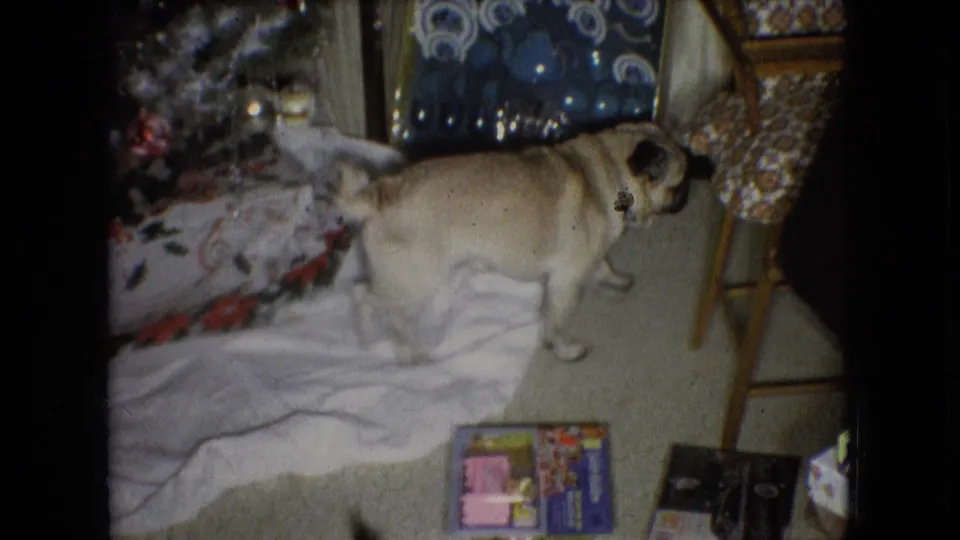 The small dog stands beside the white tree skirt or blanket near the decorated Christmas tree, wrapped gifts, and a wooden stool in the 1966 Athens, Ohio home-movie frame.