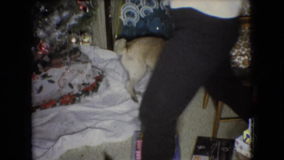 In a 1966 Athens, Ohio home-movie frame, a light-fawn pug stands near a white floor blanket, wrapped Christmas gifts, and the lower body of a person in dark pants.