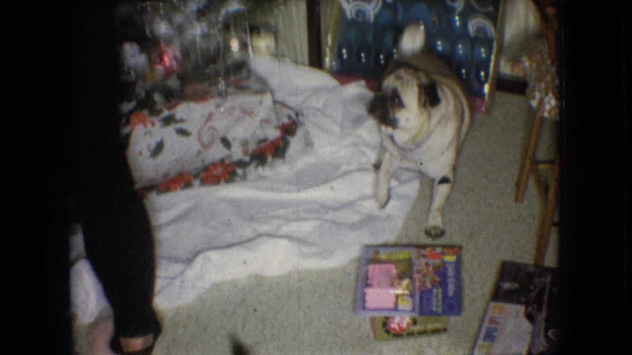 Pug stands near wrapped presents and a decorated Christmas tree in a living room.