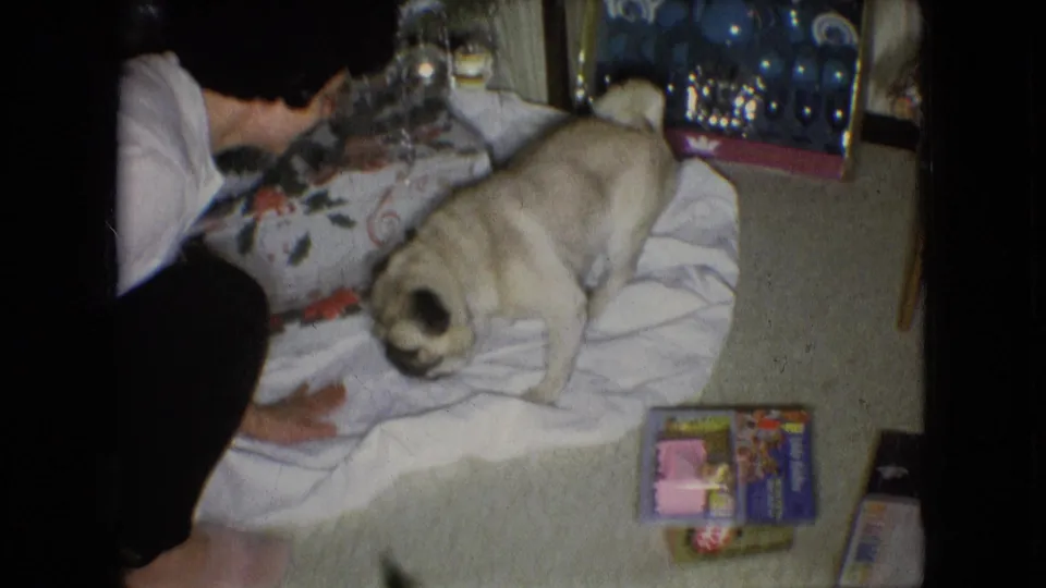 A person in a white shirt and dark pants sits or kneels on the living room floor while the pug stands on the white blanket near wrapped Christmas gifts.