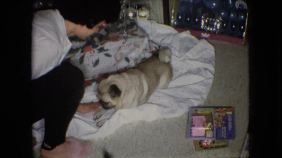 The pug settles low on the white blanket beside a person on the floor, with wrapped gifts, the decorated tree, carpet, and the patterned chair still visible in the home interior.