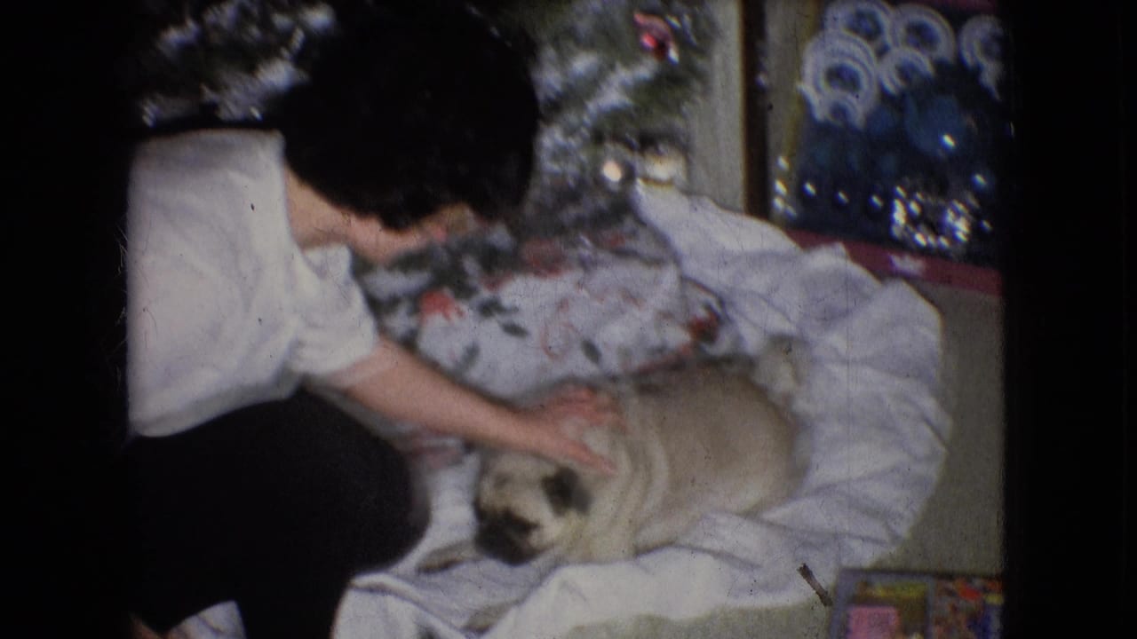 Woman kneels beside a light-colored pug resting on a white blanket near a Christmas tree.