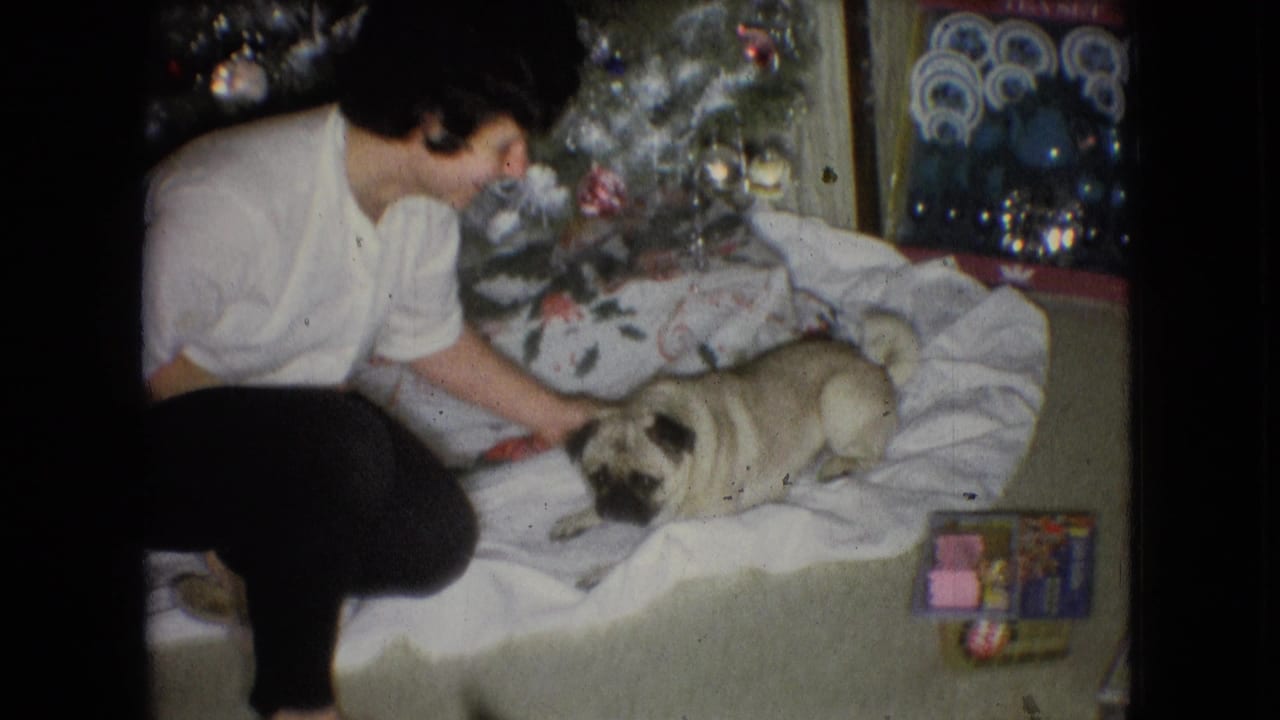 The woman remains crouched on the carpet in the 1966 Athens, Ohio holiday interior, reaching toward the pug as wrapped gifts and ornaments sit near the Christmas tree.
