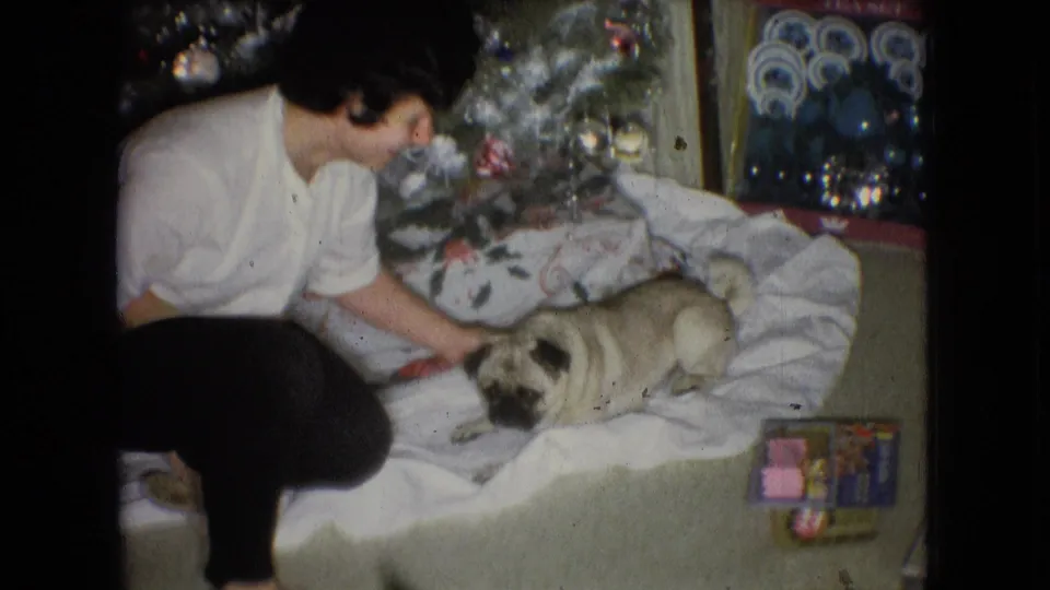 The woman remains crouched on the carpet in the 1966 Athens, Ohio holiday interior, reaching toward the pug as wrapped gifts and ornaments sit near the Christmas tree.