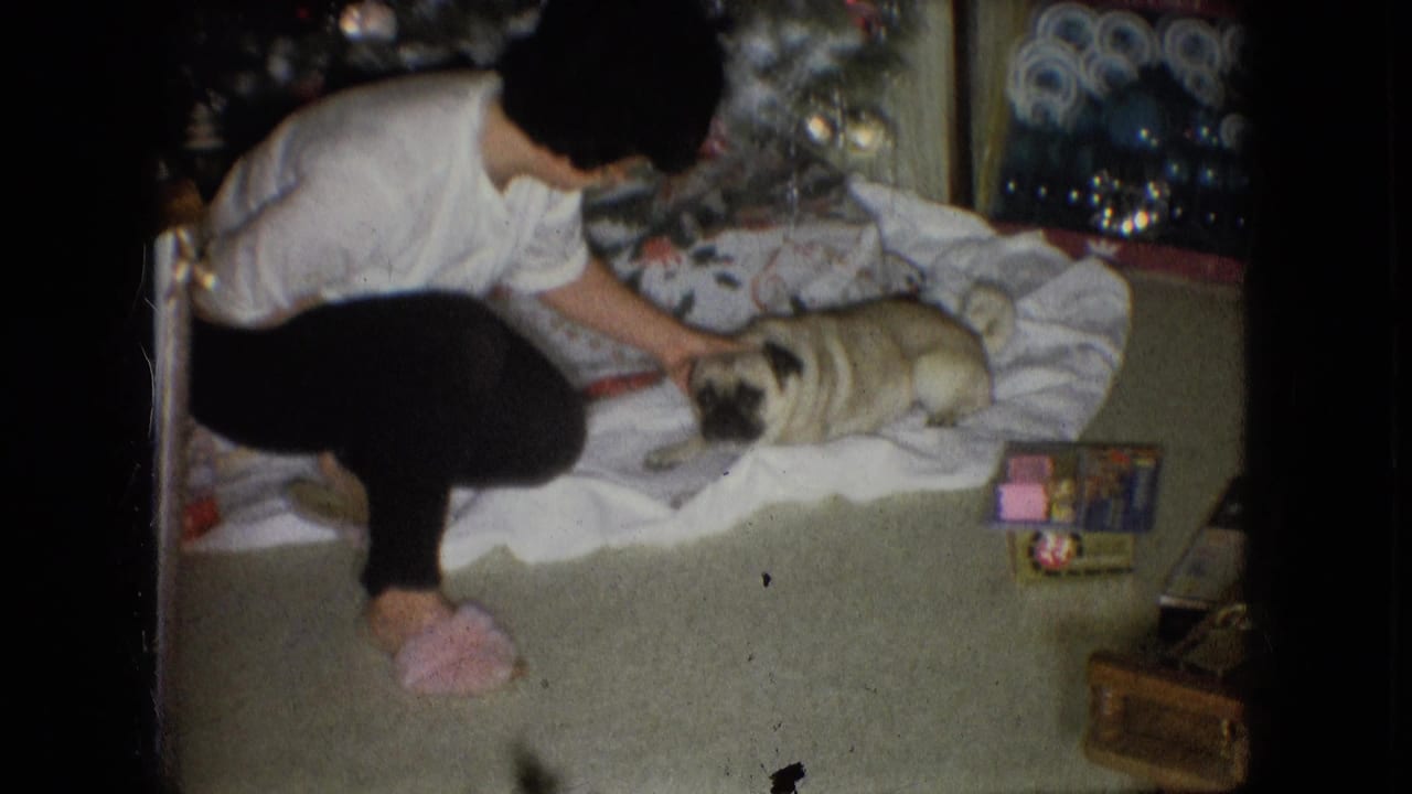 Woman in pink slippers pets a pug lying on a white blanket near holiday gifts.
