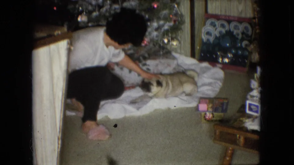 At the end of the clip, the woman leans toward the light-colored pug on the blanket in the 1966 Athens, Ohio interior, with Christmas decorations, gifts, and furniture at the frame edges.