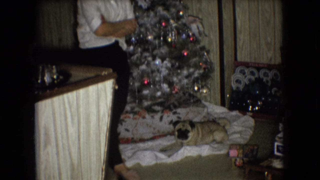Pug lies beneath a Christmas tree while a standing person is partly visible nearby.