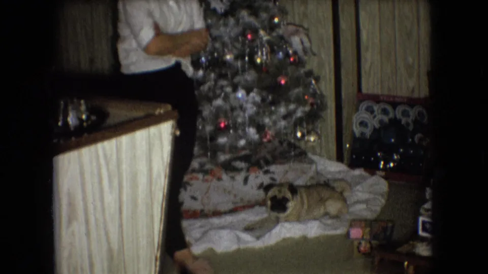 A pug rests on a blanket under the Christmas tree as a partially visible adult stands near the tree in the 1966 Athens, Ohio interior.