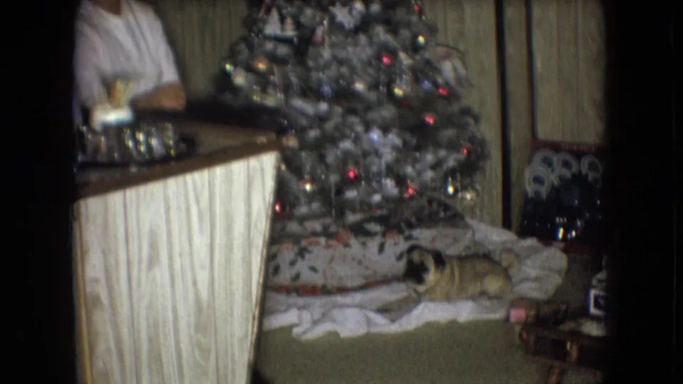 The final frame shows a partly obscured adult beside the decorated Christmas tree while the pug lies on the blanket in the private holiday room.