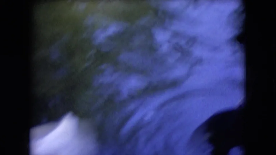 A close, blurred view shows part of a white duck beside rippling pond water, with pronounced blue-green color shift and dark 8mm frame edges.