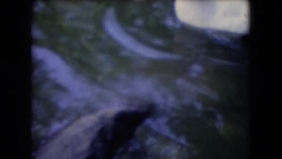 A softer, more blurred frame shows pond water and rocks, with part of a duck passing near the lower edge of the 1966 Athens, Ohio home-movie shot.