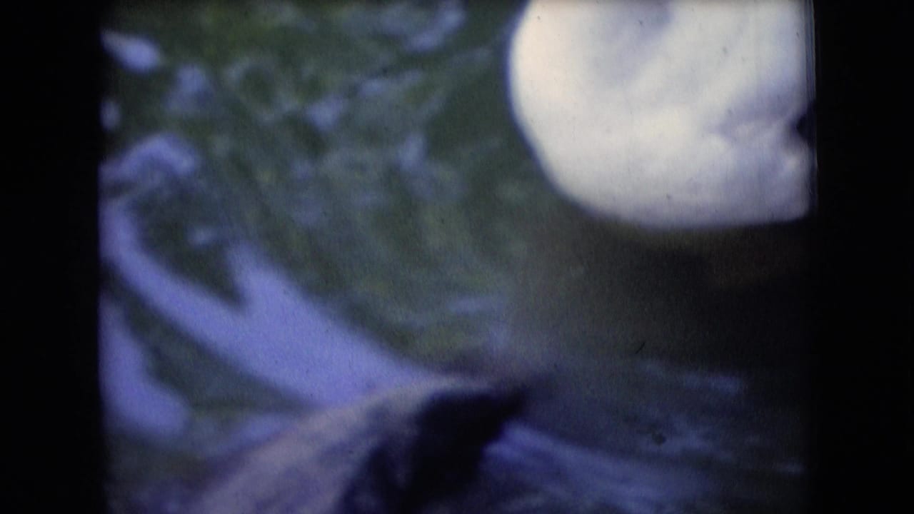 A white duck is partly cropped at the top right of an 8mm frame, with dark pond water and green reflections visible in Athens, Ohio footage identified as 1966.