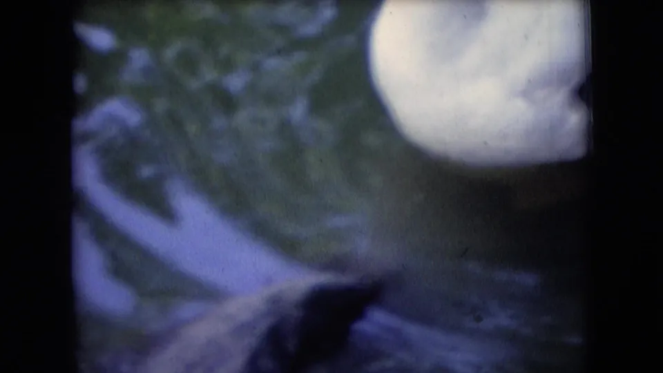 A white duck is partly cropped at the top right of an 8mm frame, with dark pond water and green reflections visible in Athens, Ohio footage identified as 1966.