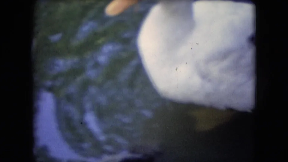 A white duck floats near the upper right of the frame, its orange bill just visible against green-blue pond water in 1966 Athens, Ohio home-movie footage.