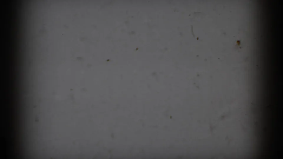 An underexposed opening frame from the 8mm clip shows dark film area and faint surface marks before the snowy New Jersey woodland becomes visible.