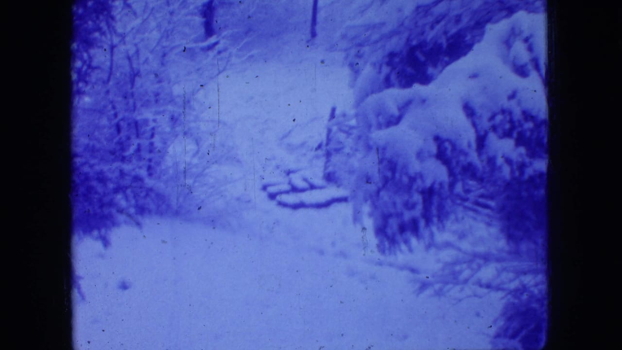 Blue-tinted snowy woodland with snow-covered branches and bare trees.