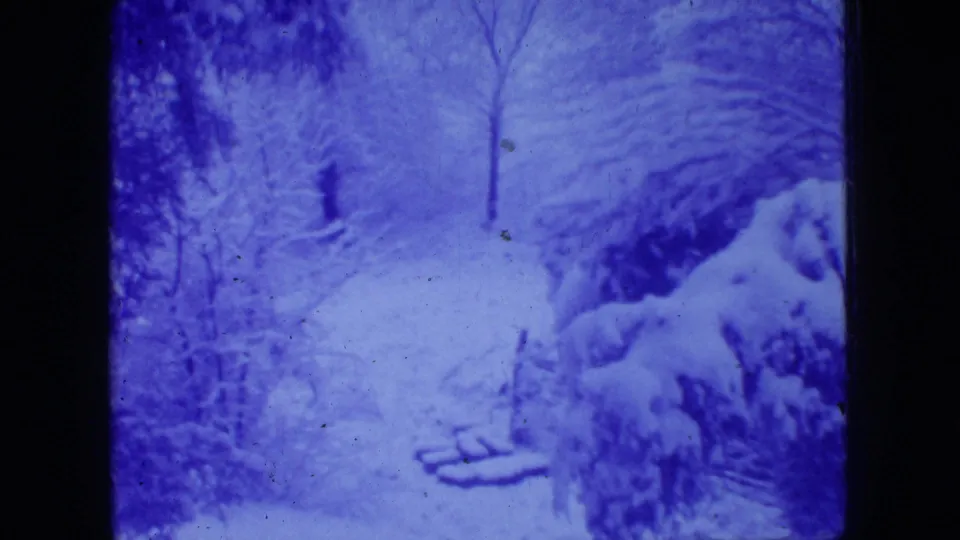 A static 8mm home-movie frame shows a snow-laden woodland in New Jersey, with heavy snow on evergreen limbs, bare trees, and a pale open ground area.