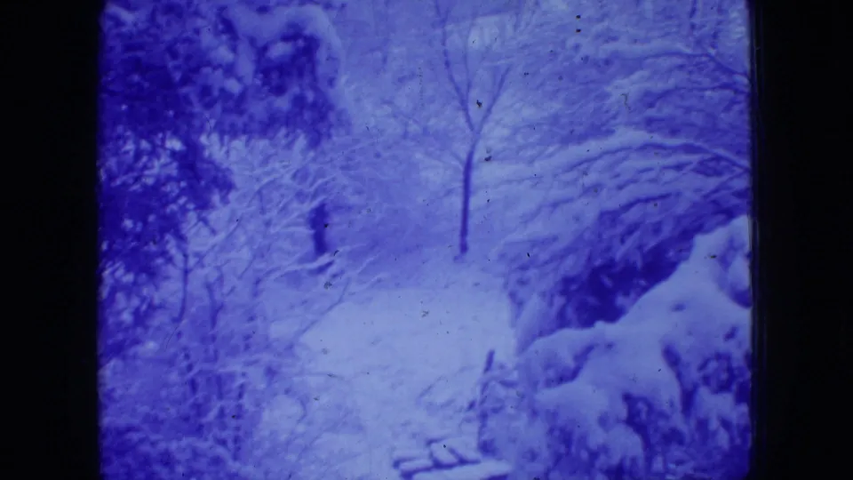 The closing sampled frame shows the same 1966 New Jersey winter woodland, with snow on tree limbs, bare saplings, dark borders, and visible archival film wear.