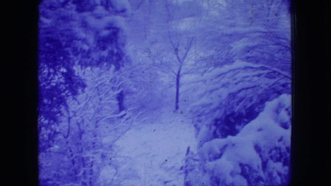 Blue-tinted 1966 New Jersey 8mm frame showing snow-laden trees, bare branches, and a wooded winter slope.