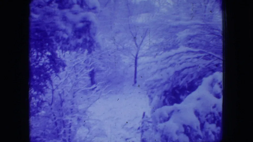 Blue-tinted 1966 New Jersey 8mm frame showing snow-laden trees, bare branches, and a wooded winter slope.