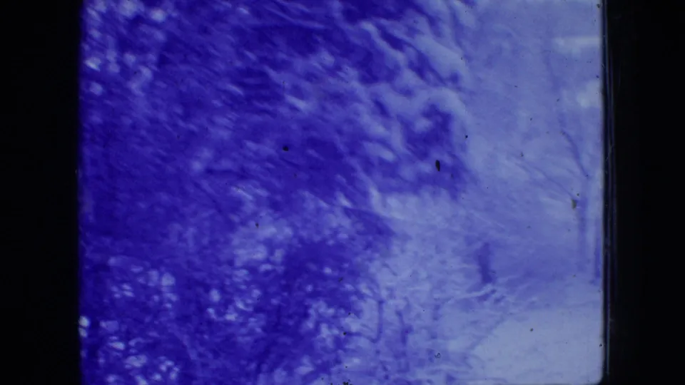 Blue-tinted 1966 New Jersey 8mm frame looking into a dense winter woodland with snow on branches and ground.