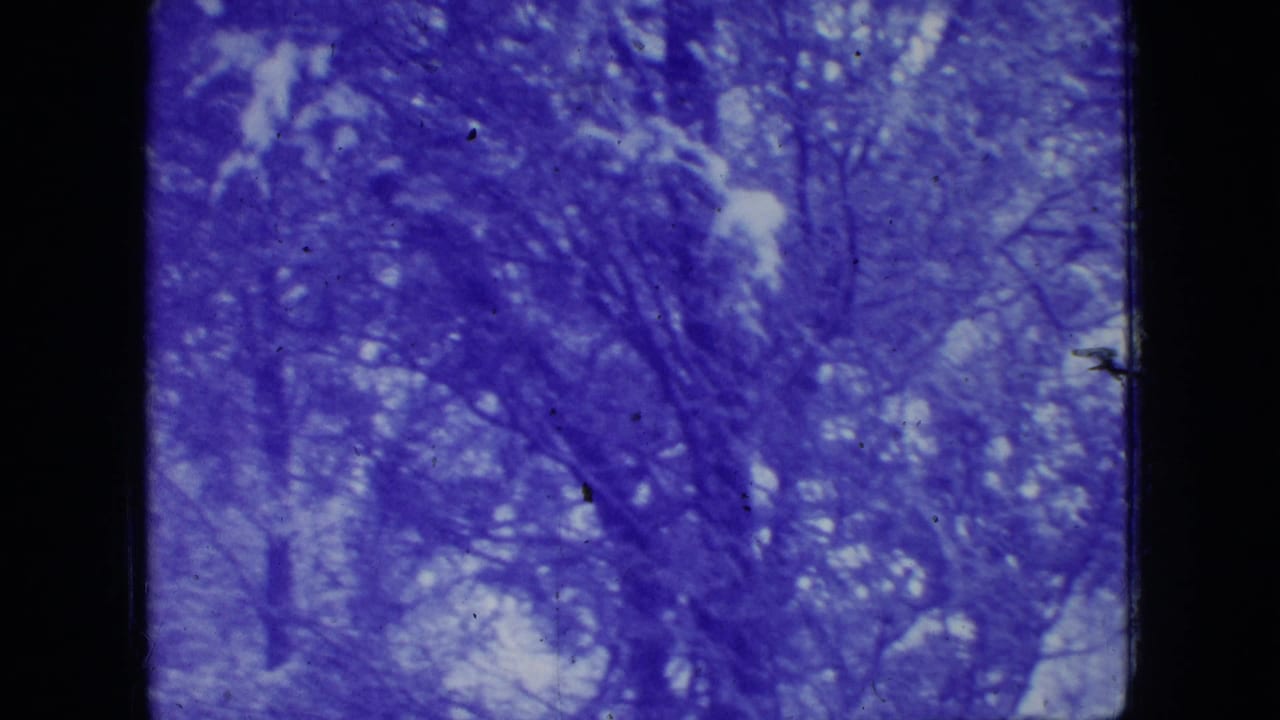 1966 New Jersey 8mm frame showing a snow-covered wooded hillside with bare branches and dark tree forms under blue-purple aged-film color.