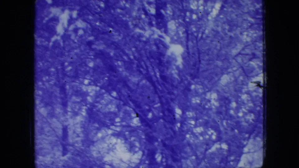 1966 New Jersey 8mm frame showing a snow-covered wooded hillside with bare branches and dark tree forms under blue-purple aged-film color.