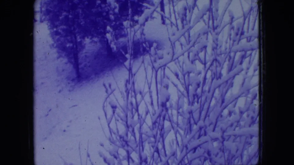 1966 New Jersey 8mm frame with snow-covered shrubs in front of darker trees on a quiet winter hillside.