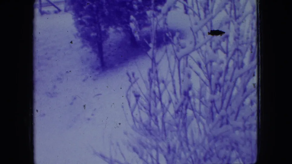 1966 New Jersey 8mm frame showing a snowy garden area with bare shrubs, dark tree trunks, soft focus, and a pronounced purple color shift.