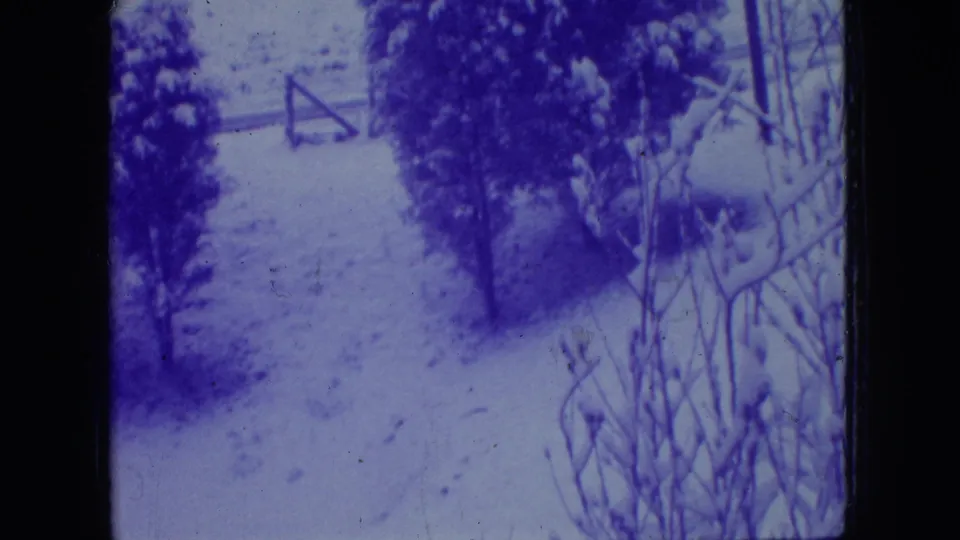 1966 New Jersey 8mm frame showing a snow-covered garden path between trees and shrubs, with a small wooden gate visible in the background.