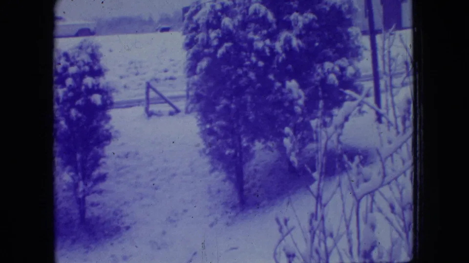 1966 New Jersey 8mm frame showing snow across a garden or yard, evergreen trees in the middle ground, a small wooden gate, and bare branches in the foreground.