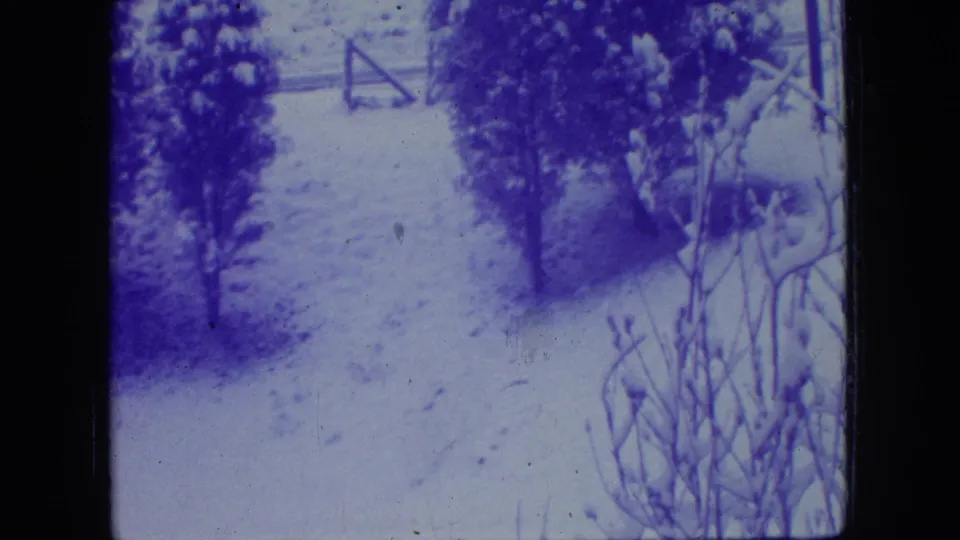 1966 New Jersey 8mm frame showing a snowy garden path receding past trees and bare shrubs, with a wooden gate faintly visible in the background.